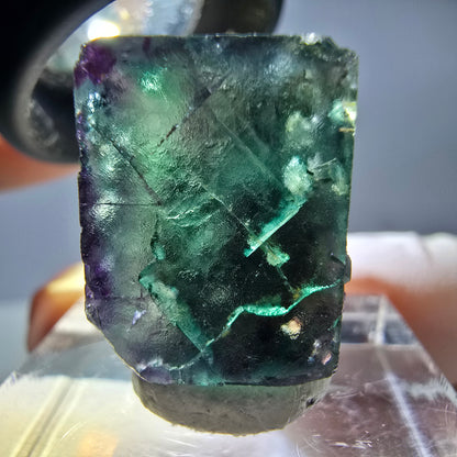 Rare cube de fluorite fantôme parqueté vert violet Okorusu Namibie 20*15*13mm 
