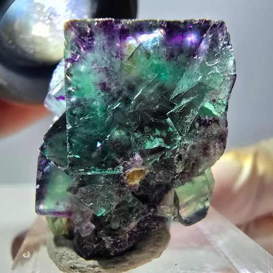 Phantom Fluorit Würfel Stufe, parkettiert grün lila Okorusu, Namibia 27*26*22mm