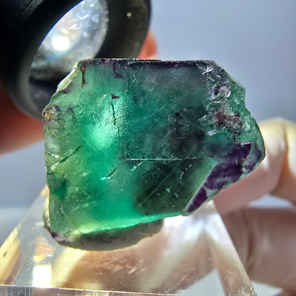 Phantom Fluorit Würfel Stufe, parkettiert grün lila Okorusu, Namibia 25*25*21mm
