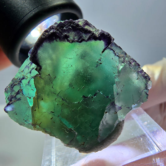 Phantom Fluorit Würfel Stufe, parkettiert, zonal Okorusu, Namibia 28*27*23mm