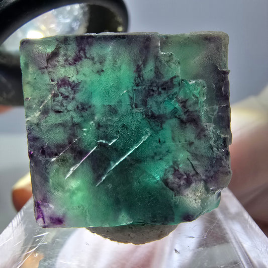 Phantom Fluorit Würfel Stufe, parkettiert grün lila Okorusu, Namibia 21*19*18mm
