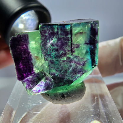 Phantom Fluorit Würfel Stufe grün lila zonal 11:11 Angel Pocket, Namibia 24*21*19mm