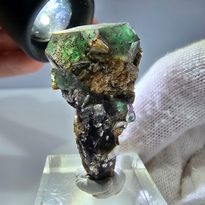 Cube de fluorite fantôme, tourmaline muscovite hexagonale Schörl, Erongo, Namibie 40 x 21 x 13 mm 