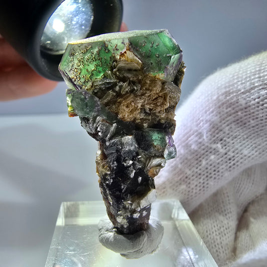 Cube de fluorite fantôme, tourmaline muscovite hexagonale Schörl, Erongo, Namibie 40 x 21 x 13 mm 