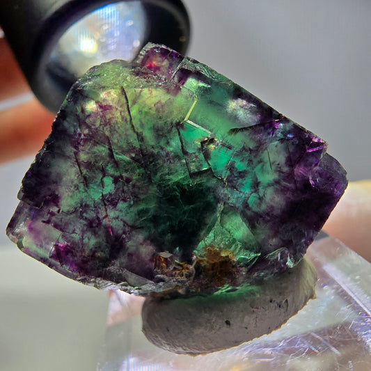 Rare cube de fluorite fantôme parqueté vert violet Okorusu Namibie 24*21*18mm 