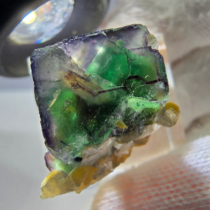 Cube de fluorite fantôme zonal, tourmaline muscovite Schörl Erongo Namibie 24 x 20 x 18 mm 