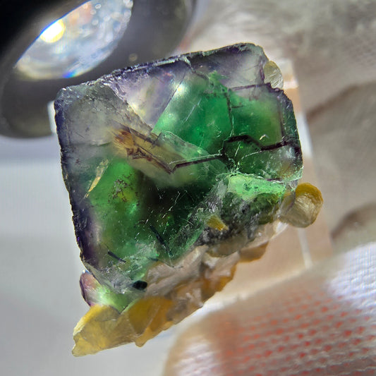 Cube de fluorite fantôme zonal, tourmaline muscovite Schörl Erongo Namibie 24 x 20 x 18 mm 