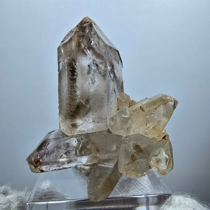 Amas de quartz fumé Harlequin Enhydro, 1x Bubble Goboboseb, Namibie 37 x 34 x 18 mm