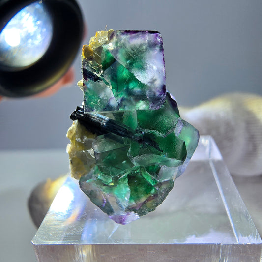 Cube de fluorite fantôme zonal, tourmaline muscovite Schorl Erongo Namibie 26 x 19 x 15 mm 