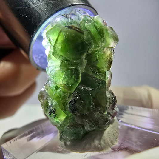 Cube de fluorite fantôme, zonal, spécimen de tourmaline Schorl, Erongo, Namibie, 23 x 15 x 14 mm 