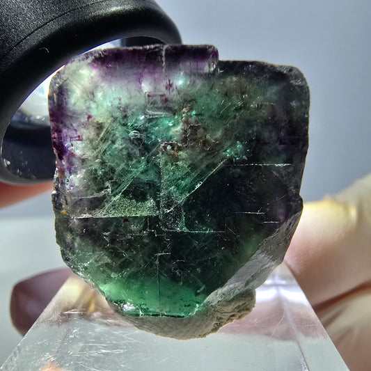 Phantom Fluorit Würfel Stufe, parkettiert grün lila Okorusu, Namibia 24*23*19mm
