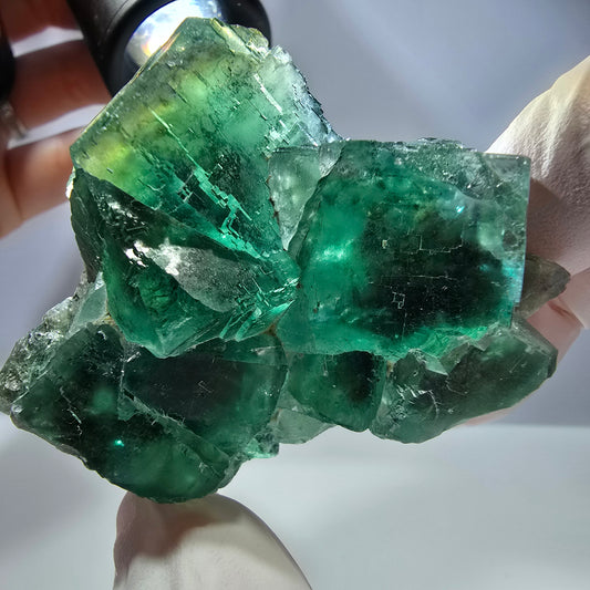 Spécimen de cube de fluorite fantôme transparente, vert parqueté, Okorusu, Namibie, 60 x 51 x 26 mm 