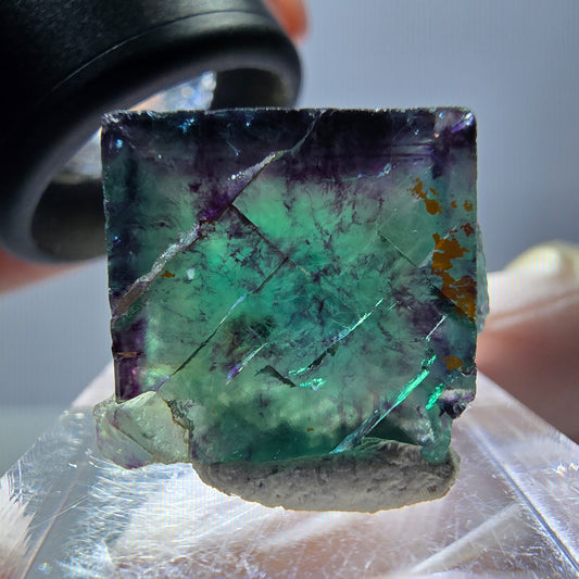 Phantom Fluorit Würfel Stufe, parkettiert grün lila Okorusu, Namibia 20*16*15mm
