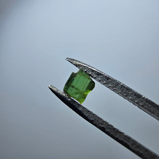 Cristal de tourmaline verdélite rare, vert Minas Gerais, Brésil #7978