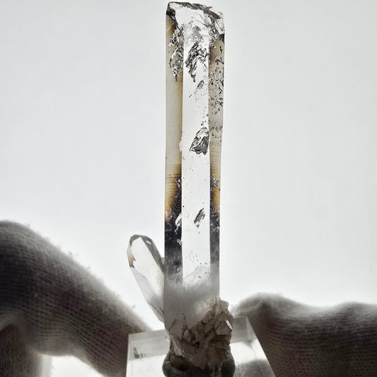 Sceptre en quartz fumé fantôme lémurien, poche Saint-Valentin, Namibie, 71 x 20 x 15 mm 
