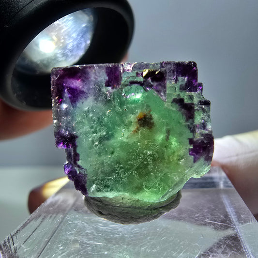 Phantom Fluorit Würfel Stufe, parkettiert, zonal Okorusu, Namibia 18*18*18mm