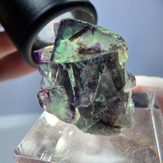 Spécimen de cube de fluorite fantôme, parqueté vert violet Okorusu, Namibie 28*21*15 mm 