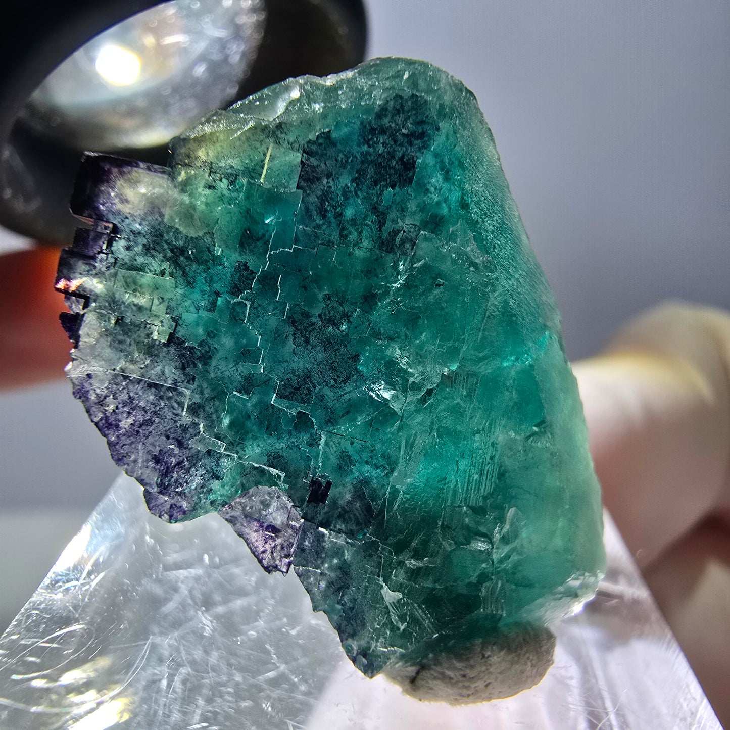 Phantom Fluorit Würfel Stufe, parkettiert grün lila Okorusu, Namibia 27*19*15mm