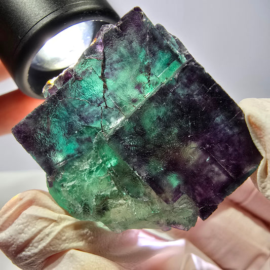 Spécimen de cube de fluorite fantôme, parqueté vert violet Okorusu, Namibie 39*33*22 mm 