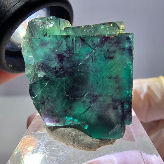 Phantom Fluorit Würfel Stufe, parkettiert grün lila Okorusu, Namibia 26*25*16mm