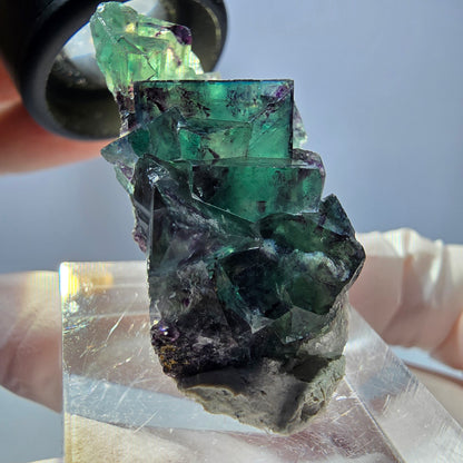 Spécimen de cube de fluorite fantôme, parqueté vert violet Okorusu, Namibie 37*22*13 mm 
