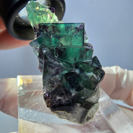 Spécimen de cube de fluorite fantôme, parqueté vert violet Okorusu, Namibie 37*22*13 mm 