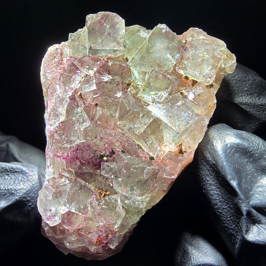 Zonare Fluorite Cube Tier Vert Violet Okorusu, Namibie 52*37*29mm Collection