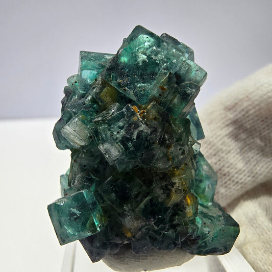 Cube de fluorite fantôme, spécimen de tourmaline Schorl, Erongo, Namibie, 34 x 27 x 22 mm 