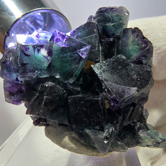 Spécimen zonal de cube de fluorite fantôme, vert violet, Okorusu, Namibie, 41 x 31 x 15 mm 