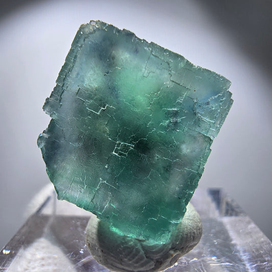 Rare spécimen de cube de fluorite fantôme, vert Okorusu, Namibie 24 x 23 x 17 mm 