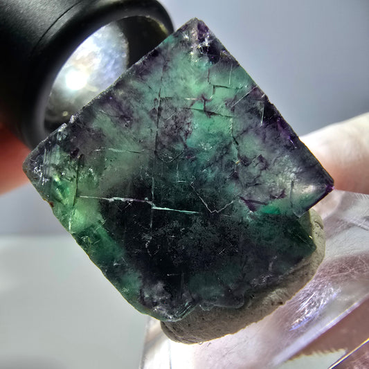 Phantom Fluorite cube parquetted, green purple Okorusu, Namibia 22*21*20mm 