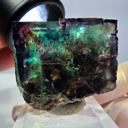 Phantom Fluorit Würfel Stufe, parkettiert grün lila Okorusu, Namibia 28*26*25mm