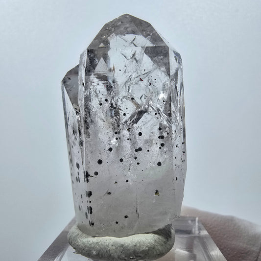 Quartz Harlequin, pointes d'hématite, mine Streep, Goboboseb, Namibie, 39 x 21 x 18 mm
