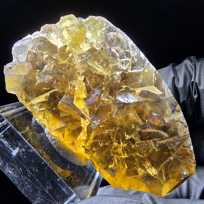 Honey Pocket Phantom Fluorite stage jaune bleu Okorusu namibie 50*28*14mm collection