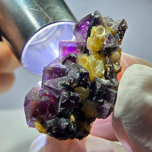 Cubes de fluorite fantôme colorés, spécimen de muscovite, Erongo, Namibie, 27 x 16 x 13 mm 