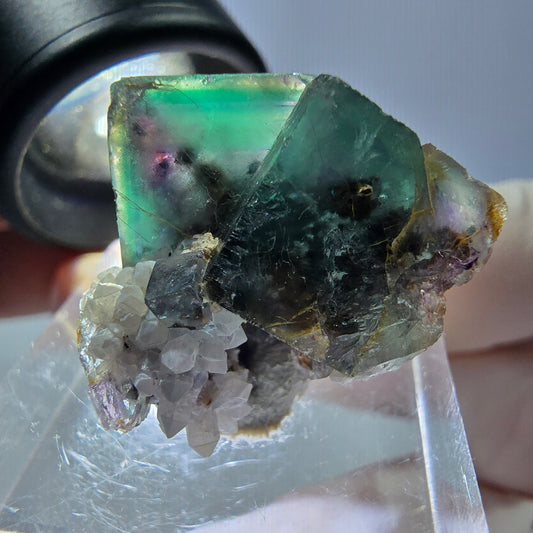 Spécimen de cube de fluorite fantôme, parqueté vert violet Okorusu, Namibie 25*24*16 mm 
