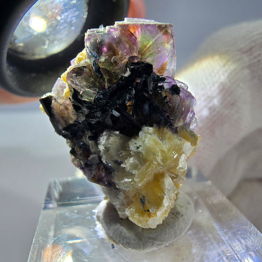 Spécimen de fluorite fantôme colorée, tourmaline scholle, muscovite, Erongo, Namibie, 25 x 22 x 14 mm 