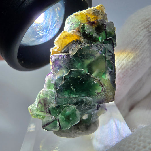 Cube de fluorite fantôme zonal, tourmaline muscovite Schörl hyalite Erongo, Namibie 36 x 21 x 17 mm 