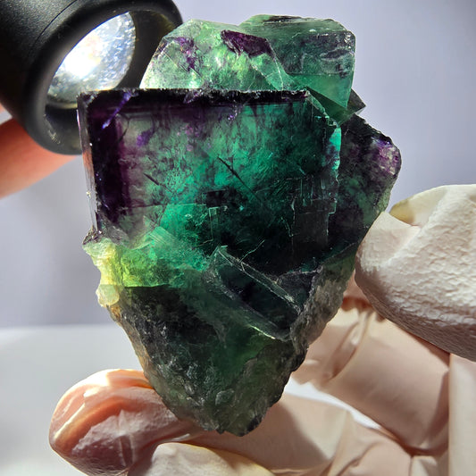 Spécimen de cube de fluorite fantôme, parqueté vert violet Okorusu, Namibie 51*40*21 mm 