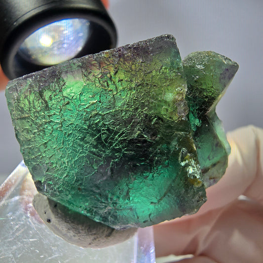 Rare cube de fluorite fantôme parqueté vert violet Okorusu Namibie 35*26*16mm 
