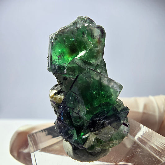 Cube de fluorite fantôme, zonal, muscovite, spécimen de tourmaline Schorl, Erongo, Namibie, 30 x 25 x 15 mm 