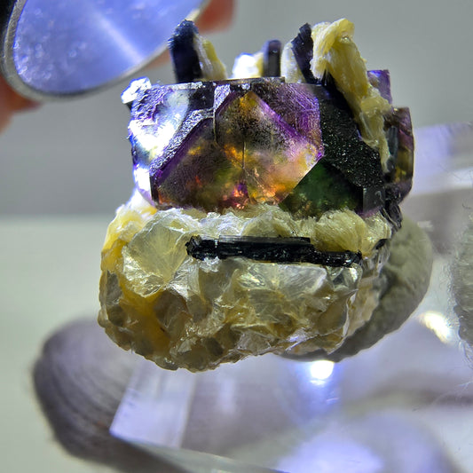 Fluorite fantôme colorée, Spécimen de tourmaline muscovite Schorl, Erongo, Namibie, 23 x 18 x 15 mm 