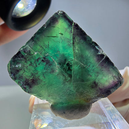 Rare cube de fluorite fantôme parqueté vert violet Okorusu Namibie 28*24*13mm 