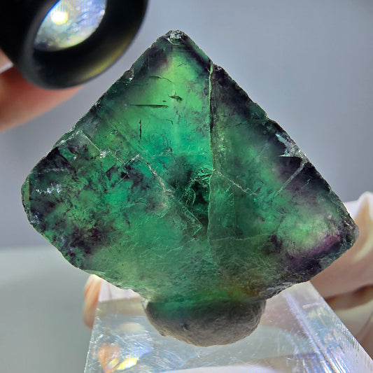 Rare cube de fluorite fantôme parqueté vert violet Okorusu Namibie 28*24*13mm 