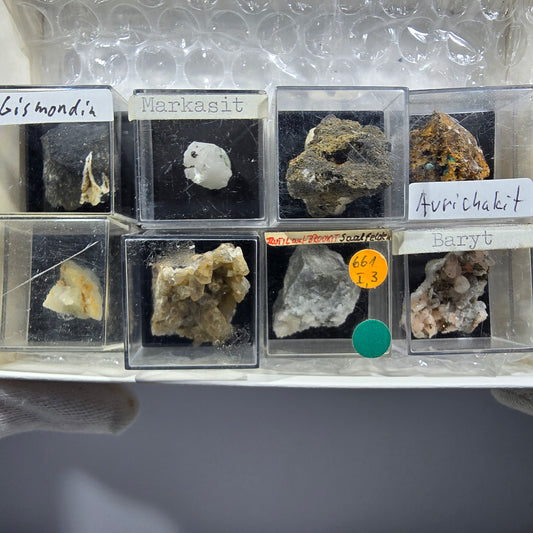 TOP Micromount Mineralien Sammlung Deutschland - 8 Stück Deutschland #8084