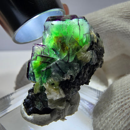 Cube de fluorite fantôme zonal, tourmaline muscovite Schörl Erongo Namibie 31*22*18mm 