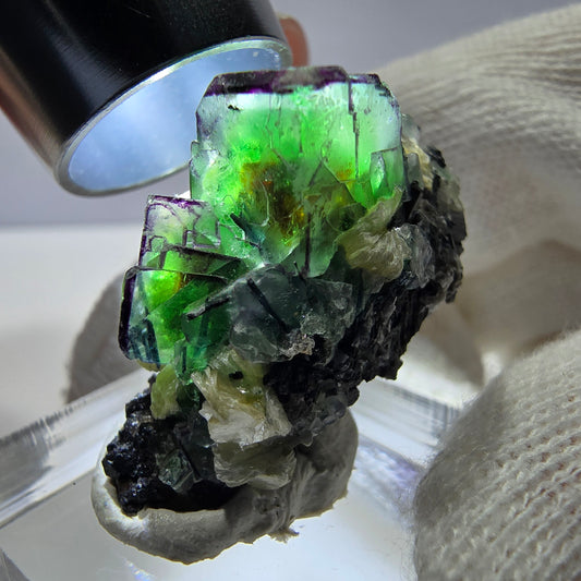 Cube de fluorite fantôme zonal, tourmaline muscovite Schörl Erongo Namibie 31*22*18mm 