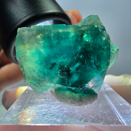 Phantom Fluorit Würfel Stufe, grün parkettiert Okorusu, Namibia 30*22*20mm