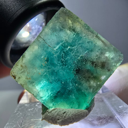 Cube de fluorite fantôme transparente parquetée, vert Okorusu, Namibie 20 x 19 x 10 mm 