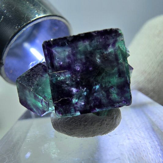 Spécimen de cube de fluorite fantôme zonal, vert violet Okorusu, Namibie 19*15*13mm 
